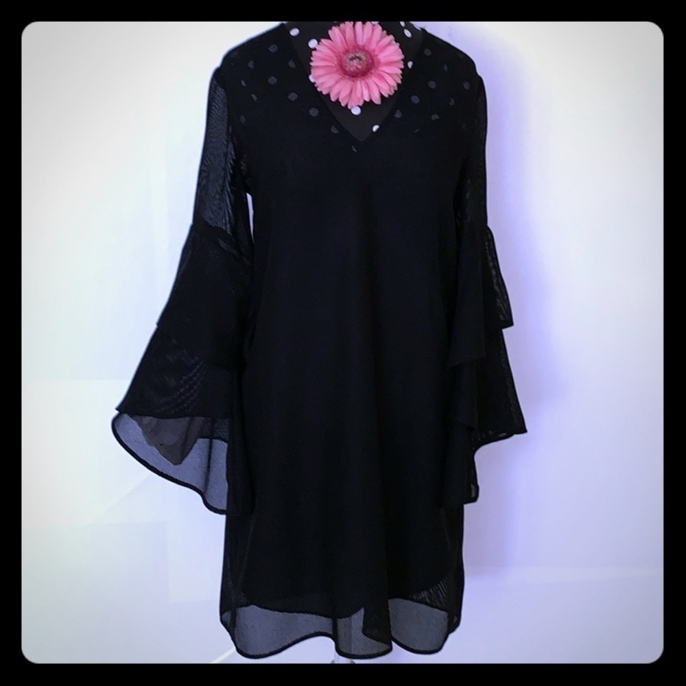 🌸- Bcbgmaxazria Black 2 Piece Sheer Dress